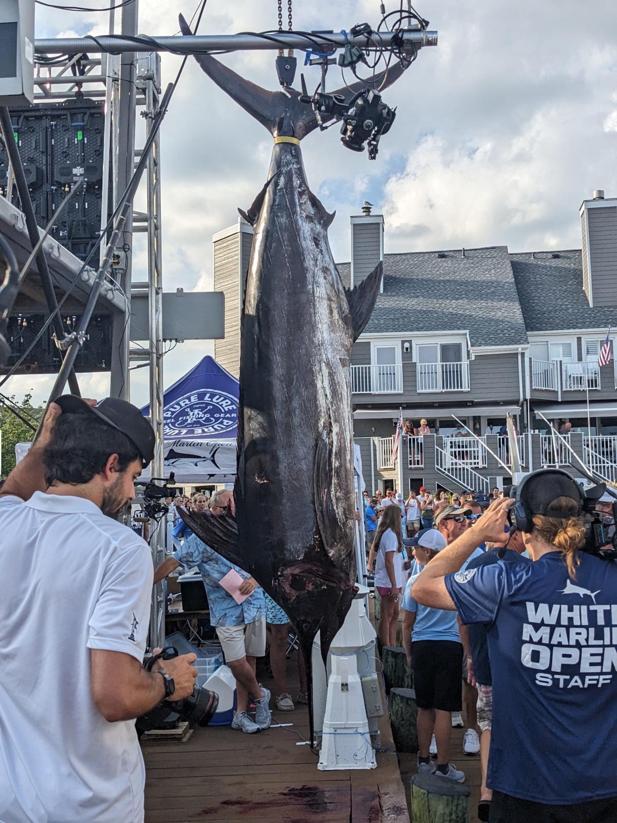 Country Girl  White Marlin Open Stats 2023 Tournament at White