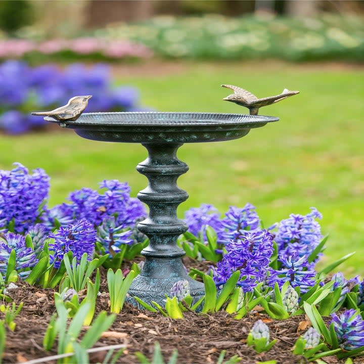 the birdbath in a garden