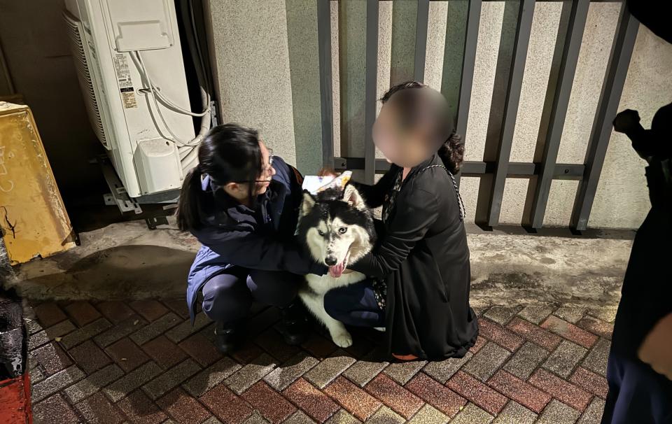 飼主在警方協助下找回愛犬「奇奇」。（圖／翻攝畫面）