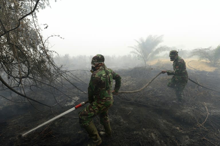 Indonesian soldiers put out a fire on farm land in Kampar, Riau province, on September 14, 2015