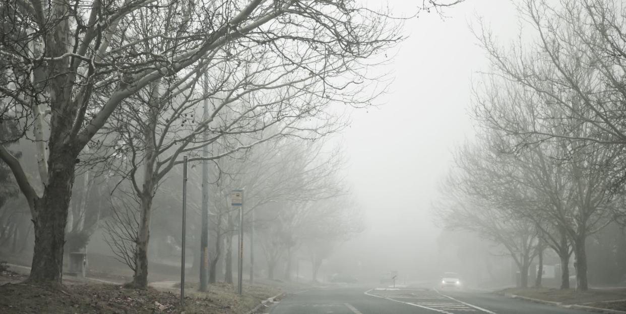 suburban street on a foggy winter morning