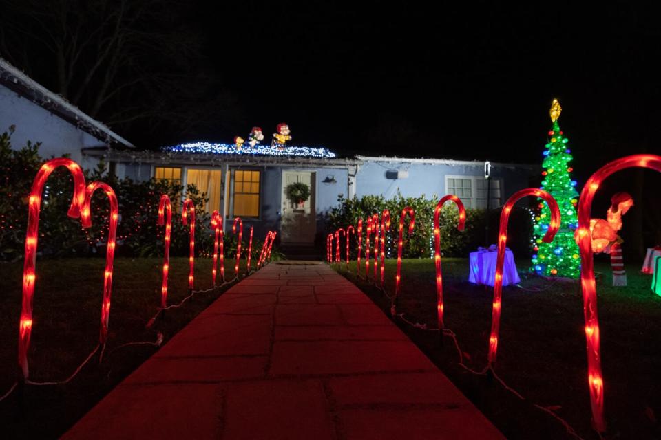 Lighted red and yellow candy canes and a Christmas tree in a front yard.