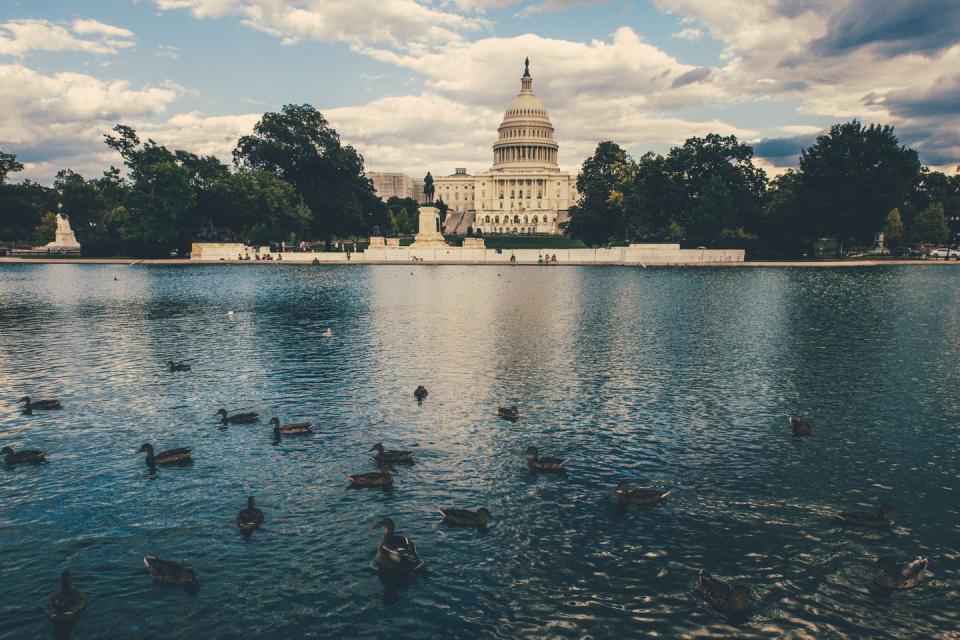 <p>America's capital city is full of Parisian elements, thanks to French architect and urban planner Pierre Charles L'Enfant, who designed it. Like Paris, D.C. is bursting with history, horticulture, and haute cuisine. <a href="https://lediplomatedc.com/" rel="nofollow noopener" target="_blank" data-ylk="slk:Le Diplomate;elm:context_link;itc:0;sec:content-canvas" class="link ">Le Diplomate</a> is a restaurant even the French ambassador finds lovely to dine at while <a href="https://www.primrosedc.com/" rel="nofollow noopener" target="_blank" data-ylk="slk:Primrose;elm:context_link;itc:0;sec:content-canvas" class="link ">Primrose</a> is a Parisian-esque wine bar for the best pet-nat after a busy day of sight-seeing.</p>