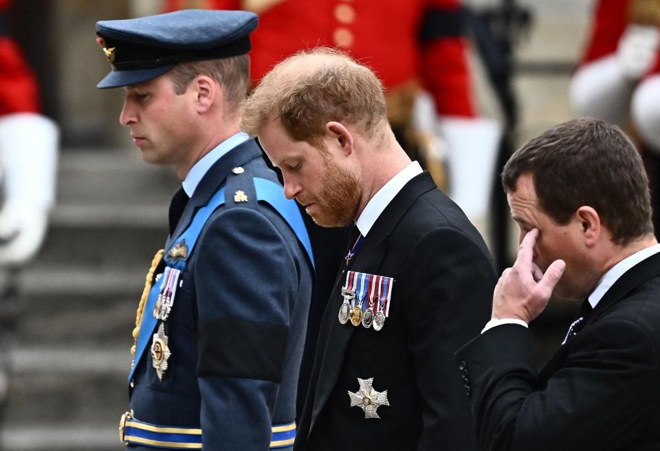 prince william, prince harry