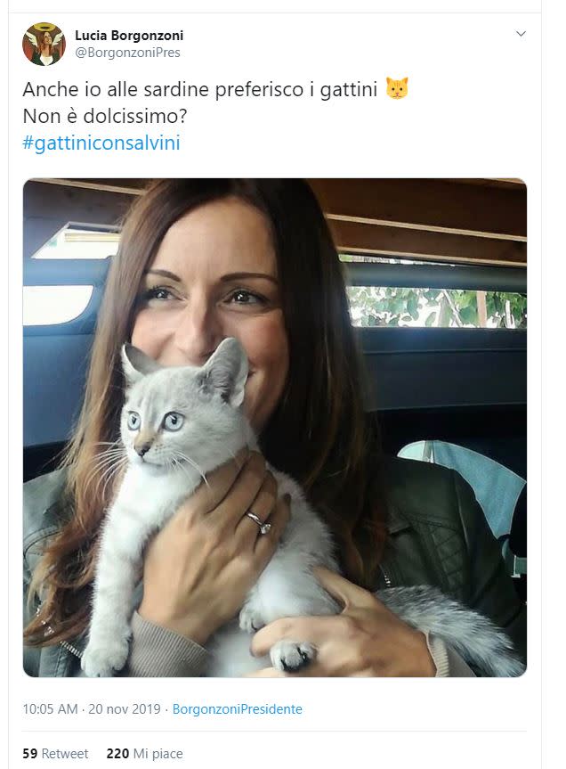 In tanti hanno seguito la proposta del Capitano ripostando l'hashtag seguito da una foto del proprio gatto