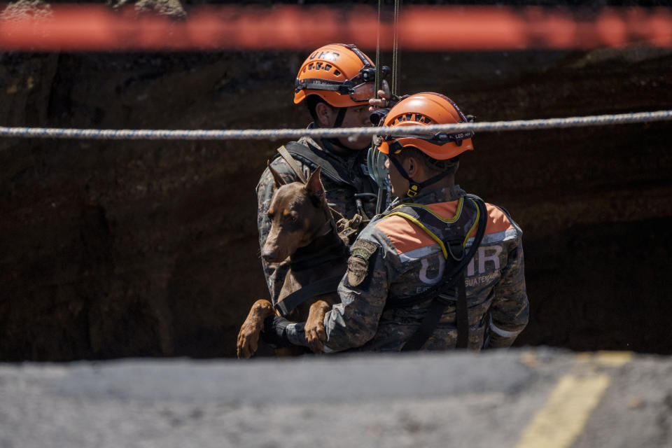 Rescuers of the Guatemalan Army and a search dog descend into a sinkhole in Villa Nueva, Guatemala, Sunday, Sept. 25, 2022. Rescuers are searching for people who are believed to have fallen into the sinkhole while driving their vehicle, while four others were rescued alive from the scene on Saturday night. (AP Photo/Moises Castillo)