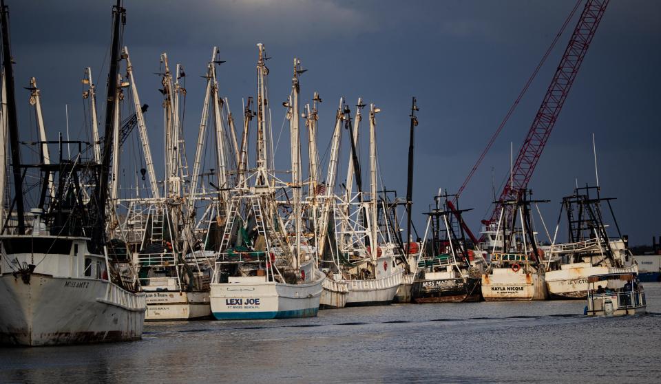 Shrimp boats are seen at the docks on Fort Myers Beach sits dormant on Monday, June 3, 2024.