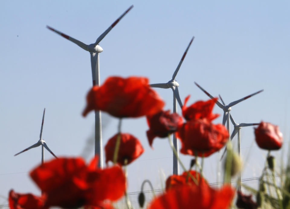 FILE - In this June 3, 2011 file photo windmills are pictured behind poppy blossoms in Nauen-Berge near Berlin, Germany. The crisis in Ukraine is underlining the urgency of Germany's biggest political challenge as Chancellor Angela Merkel's new government marks 100 days in office Wednesday, March 26, 2014, getting the country's mammoth transition from nuclear to renewable energy sources on track. The transition started in earnest when Merkel, after Japan's 2011 Fukushima nuclear disaster, abruptly accelerated Germany's exit from nuclear power. Since then, the "Energiewende" _ roughly, "energy turnaround" _ has created increasing headaches. (AP Photo/Ferdinand Ostrop, File)