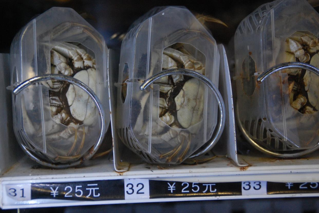 Live Crabs Vending Machine