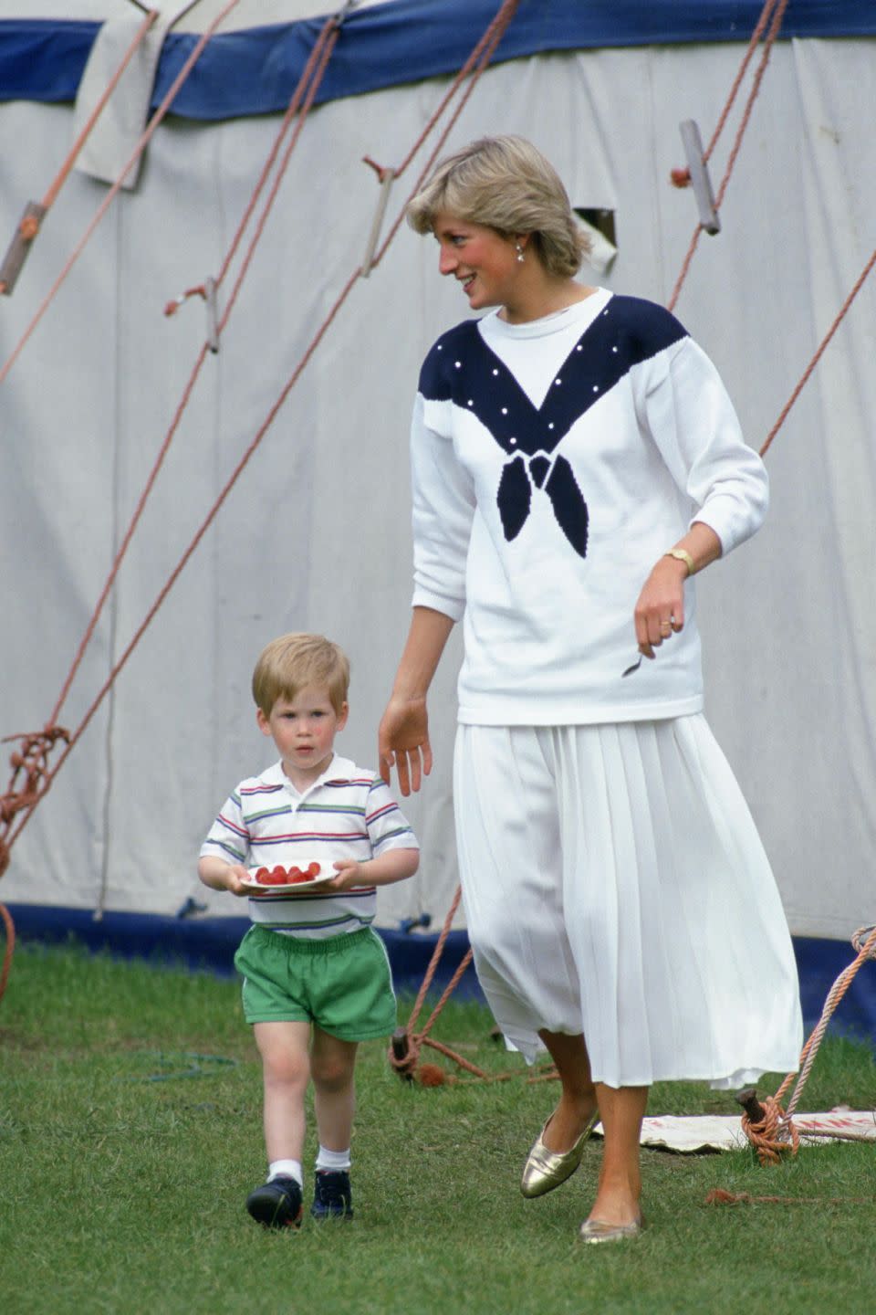 Princess Diana used to bring Prince Harry and Prince William out for McDonalds. Photo: Getty Images