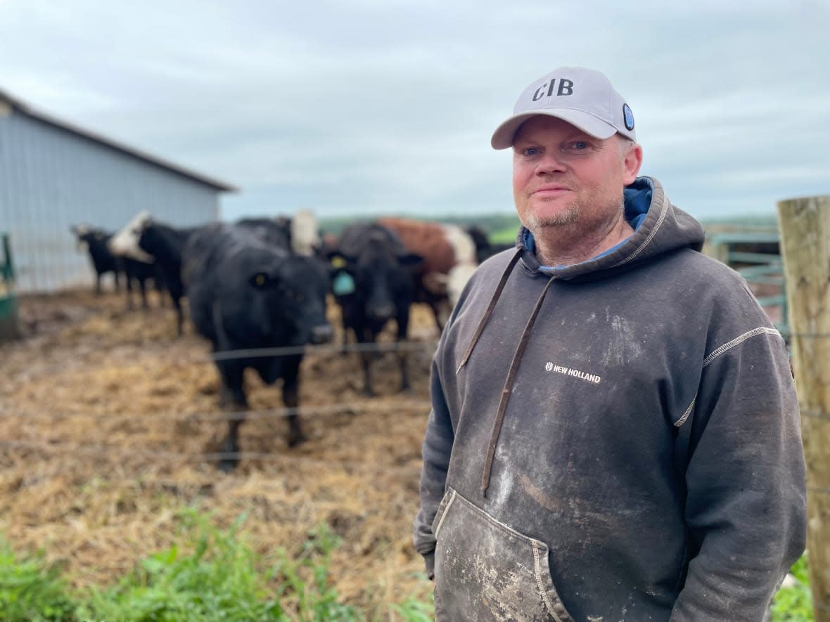 The number of cattle on P.E.I. has dropped by about a third in the last decade, says Dennis Hogan, chair of P.E.I. Cattle Producers.  (Steve Bruce/CBC - image credit)