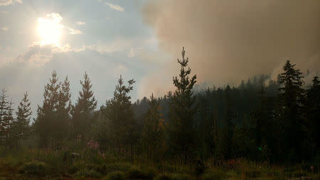 Wildfire burns in Willamette National Forest, Oregon, U.S. made available on August 11, 2017. Courtesy U.S. Forest Service Willamette National Forest/Handout via REUTERS