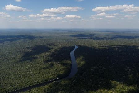 An aerial view shows the Acari river in Apui, in the southern region of the state of Amazonas, Brazil, July 28, 2017. REUTERS/Bruno Kelly