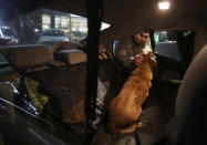 Alexei, an animal activist who would only give his first name, places a stray half-breed Labrador in his car after finding it at a cafe’s back door, Monday, Feb. 10, 2014, in central Sochi, Russia, home of the 2014 Winter Olympics. Alexei is one of a dozen people in the emerging movement of animal activists in Sochi alarmed by reports that the city has contracted the killing of thousands of stray dogs before and during the Olympic Games. Stray dogs are a common sight on the streets of Russian cities, but with massive construction in the area the street dog population in Sochi and the Olympic park has soared. Useful as noisy, guard dogs, workers feed them to keep them nearby and protect buildings. They soon lose their value and become strays. Tonight, a few dogs will be taken on their way to a new life in Moscow. (AP Photo/David Goldman)