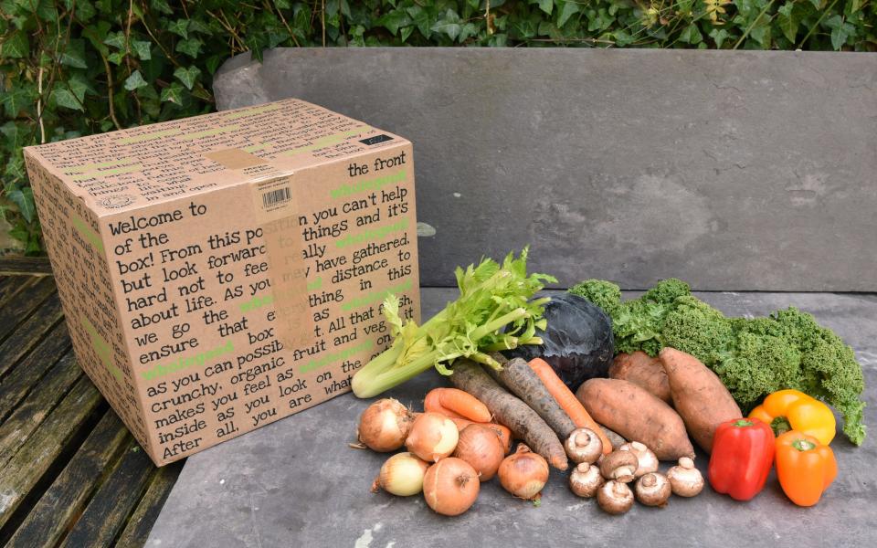 The Great British Box Off: which veg box is best for quality and value?