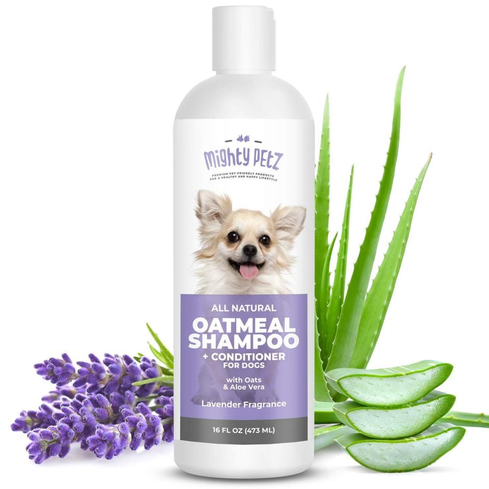 5) All Natural Oatmeal Shampoo + Conditioner for Dogs