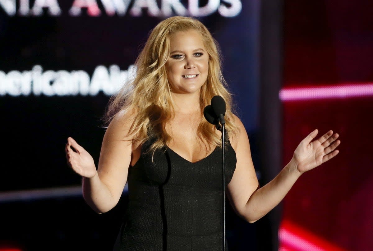 The comedian Amy Schumer shared a parody video on her Instagram  (REUTERS)