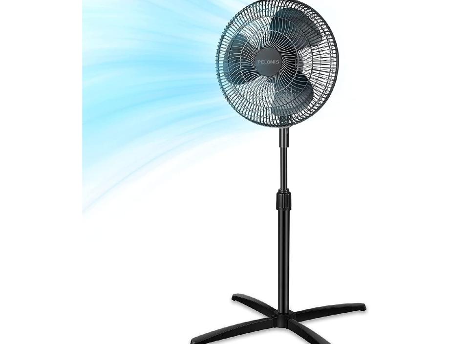 Pelonis Pedestal fan, black.