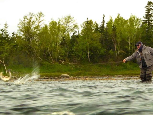 Terry Byrne hooks a salmon at Southwest Brook on June 3. (Troy Turner/CBC - image credit)