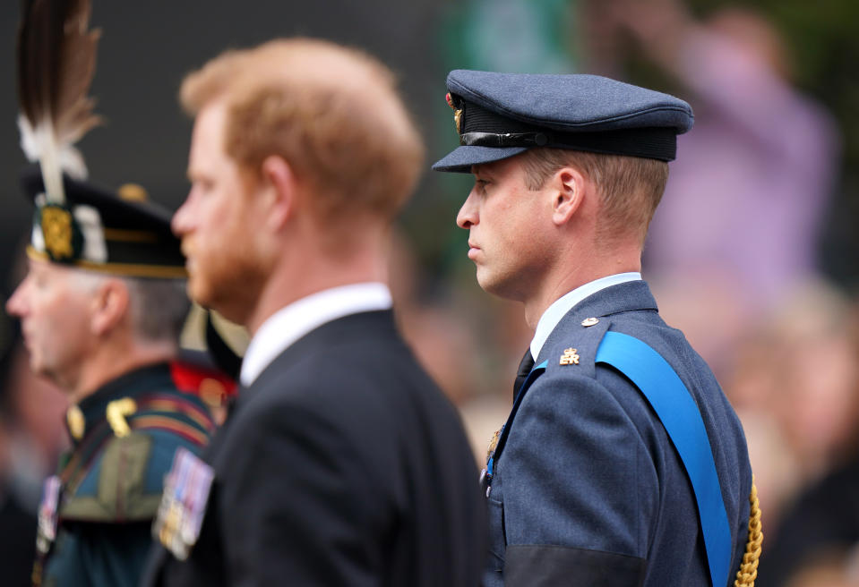 <p>The Prince of Wales and the Duke of Sussex in the ceremonial procession through central London. (PA)</p> 