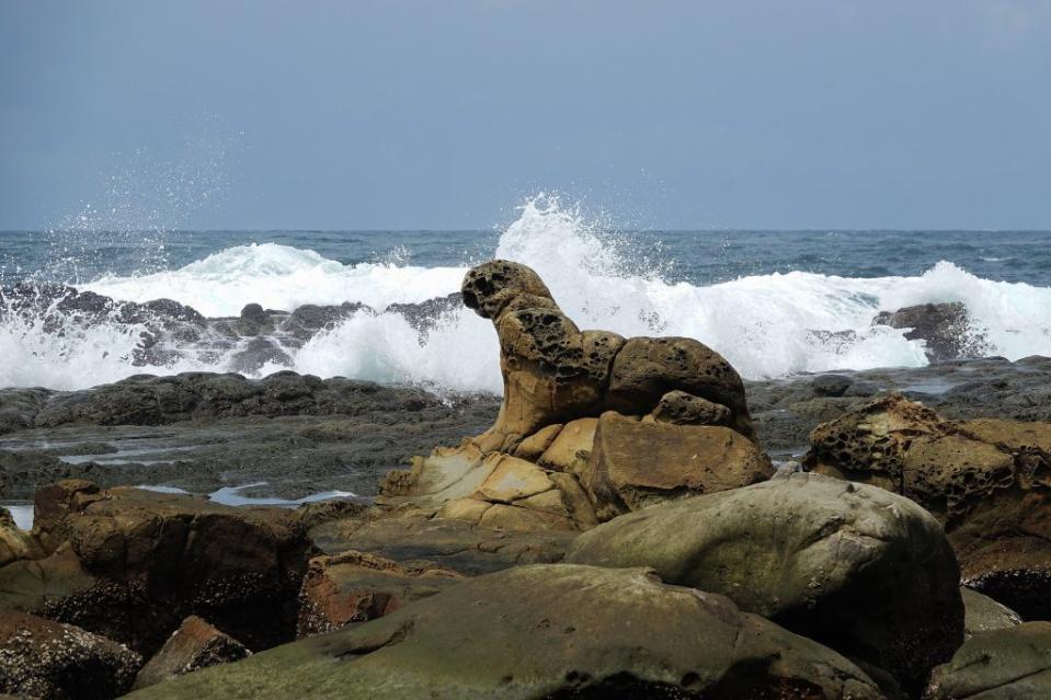 基隆市八斗子大坪潮間帶的海豹岩，是少數僅存的原始海岸。（基隆市鳥會提供）