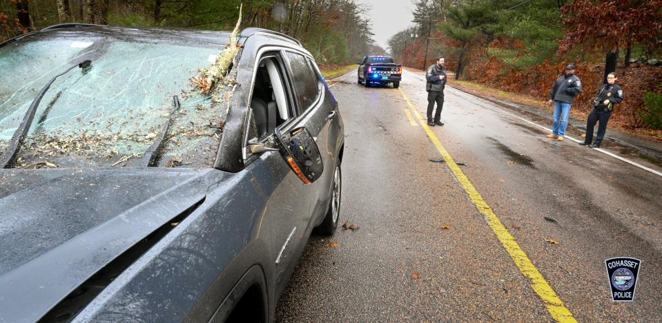 Cohasset police posted this picture on social media with its report of a tree hitting a car on Route 3A on Monday morning./ppThe driver and her infant suffered minor injuries, police said.