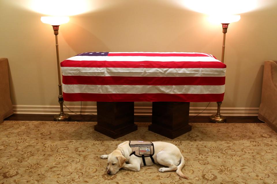 Sully, the service dog of former U.S. President George H.W. Bush in his final months, lays in front of Bush’s casket at the George H. Lewis & Sons funeral home in Houston, Texas, U.S., December 3, 2018. (Photo: Courtesy Office of George H. W. Bush-Evan Sisley/Handout via Reuters)