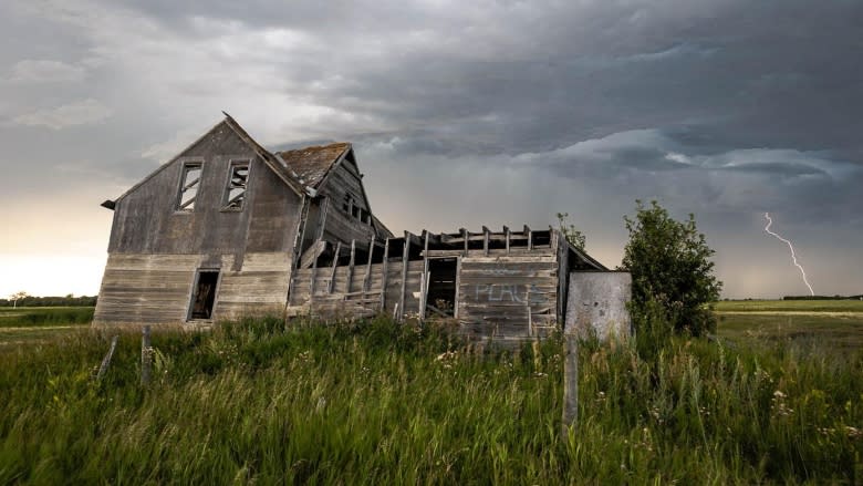 Book shares Saskatchewan's early days through photos and stories