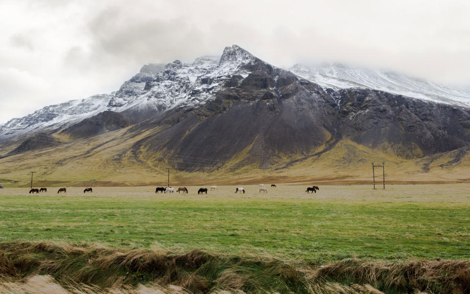 Westman Islands, Iceland