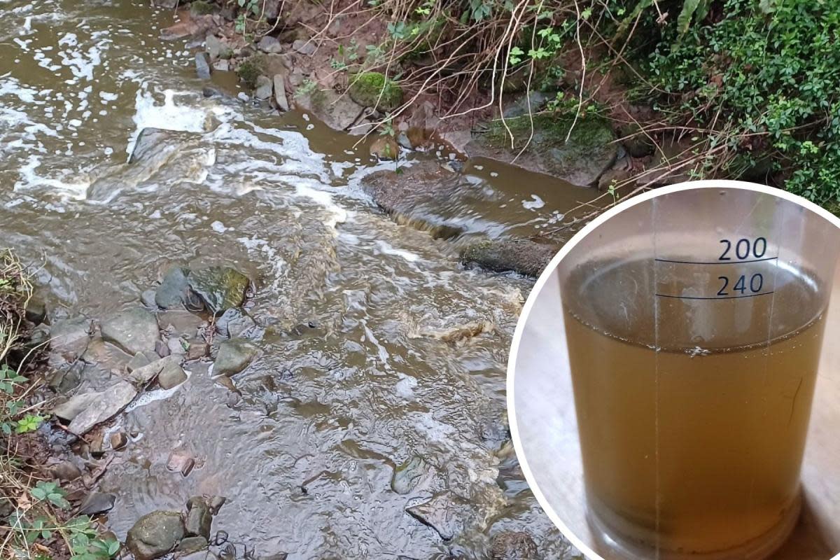The polluted Holywell Dingle, and a sample of its water <i>(Image: Friends of the River Wye)</i>