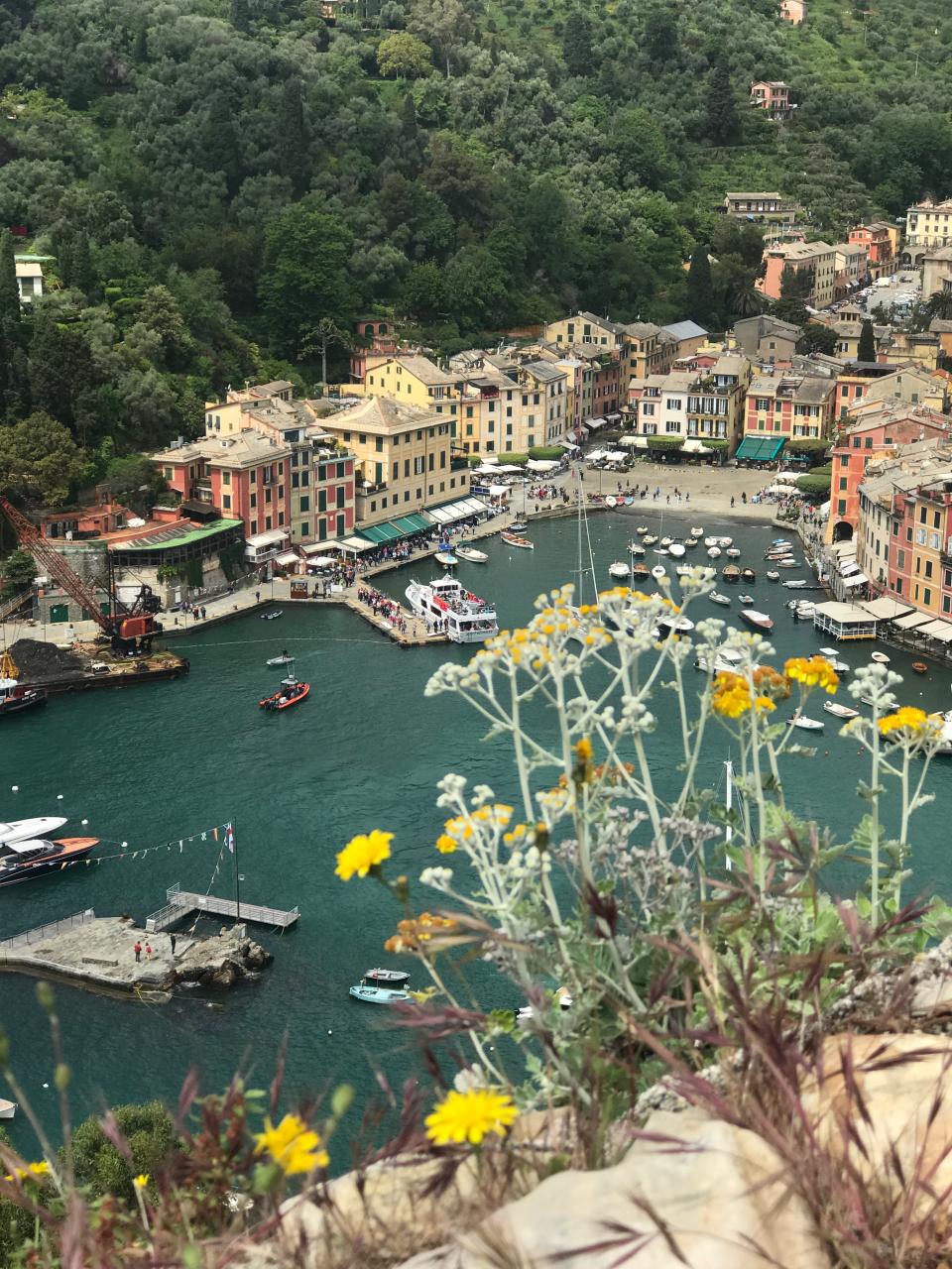 My view from Castello Brown, a 16th century hillside castle looking over Portofino. 