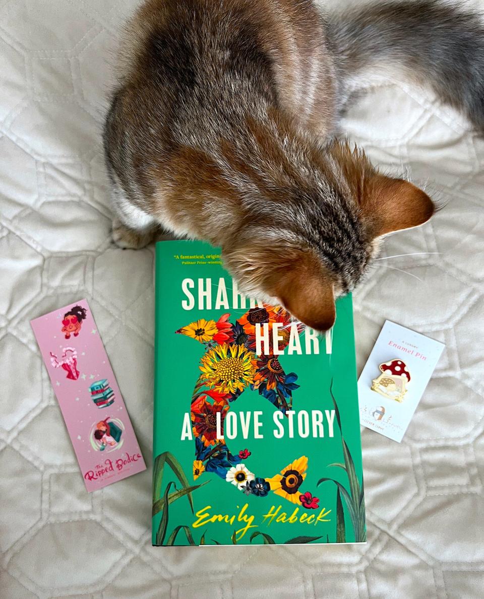 My haul: A new book, bookmark, and hedgehog pin. (Cat not included.)