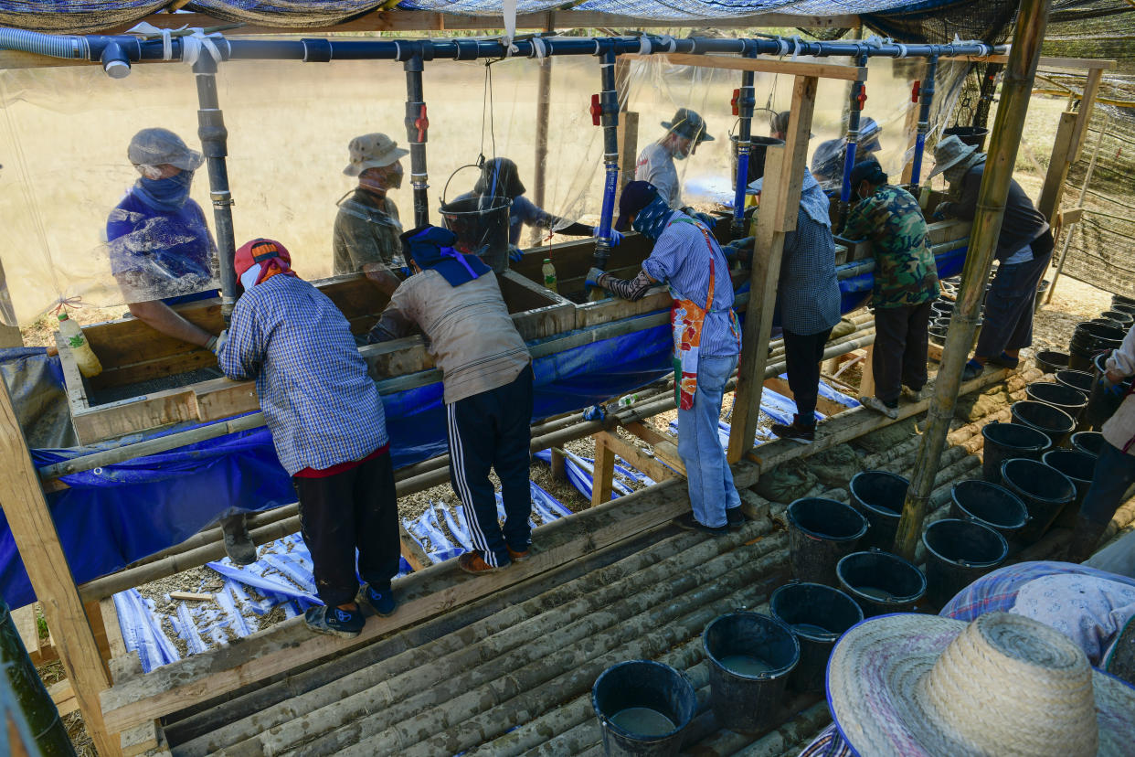 Team members assigned to the Defense POW/MIA Accounting Agency (DPAA), sift through dirt on the wet-screen station alongside local workers during an excavation operation in in Lampang province, Kingdom of Thailand, March 2, 2022. Possible human remains were found at a crash site in a rice field in northern Thailand by the Defense POW/MIA Accounting Agency and were sent to Hawaii where they will be tested to see if they belong to a U.S. pilot who went missing in 1944. (U.S. Army Sgt. 1st Class Michael O'Neal/Defense POW/MIA Accounting Agency via AP)