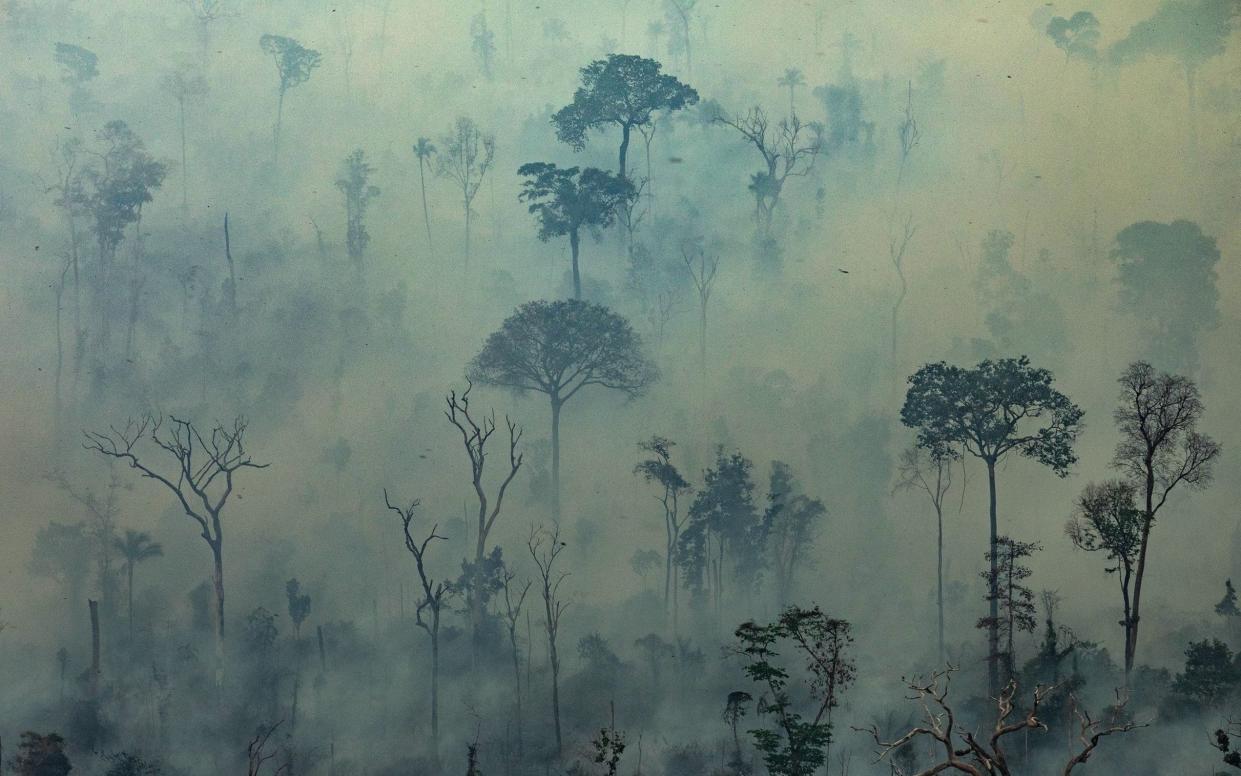 Smoke billows from fires in the forest in the Amazon biome in the municipality of Altamira, Brazil - AFP