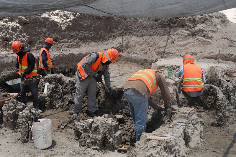 Archaeologists from the National Institute of Anthropology and History (INAH) work at a site where they are unearthing remains of mammoths, in Zumpango