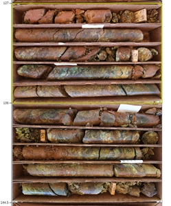 Core from drill hole #12 showing oxide mineralization in the area between Broad Top Butte and Rosemont (intersected 2.4% copper from 127 to 145 feet).