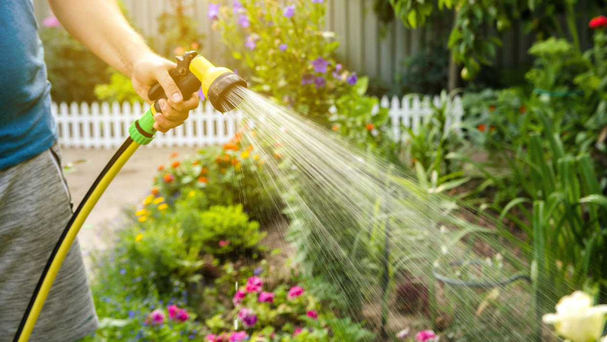  watering flowers with a garden hose 