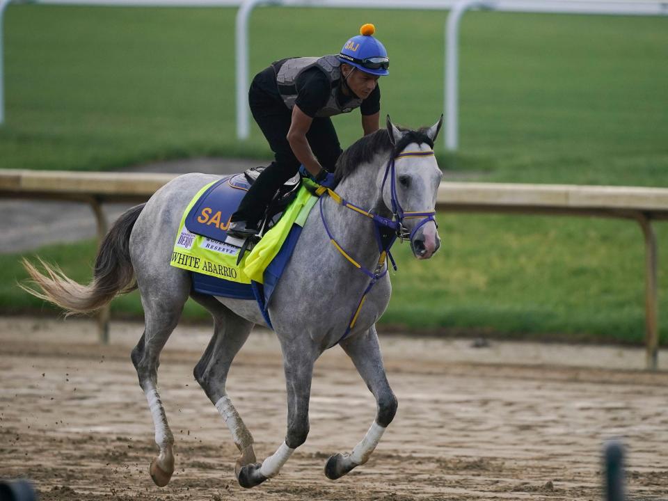 Kentucky Derby entrant White Abarrio works out at Churchill Downs.