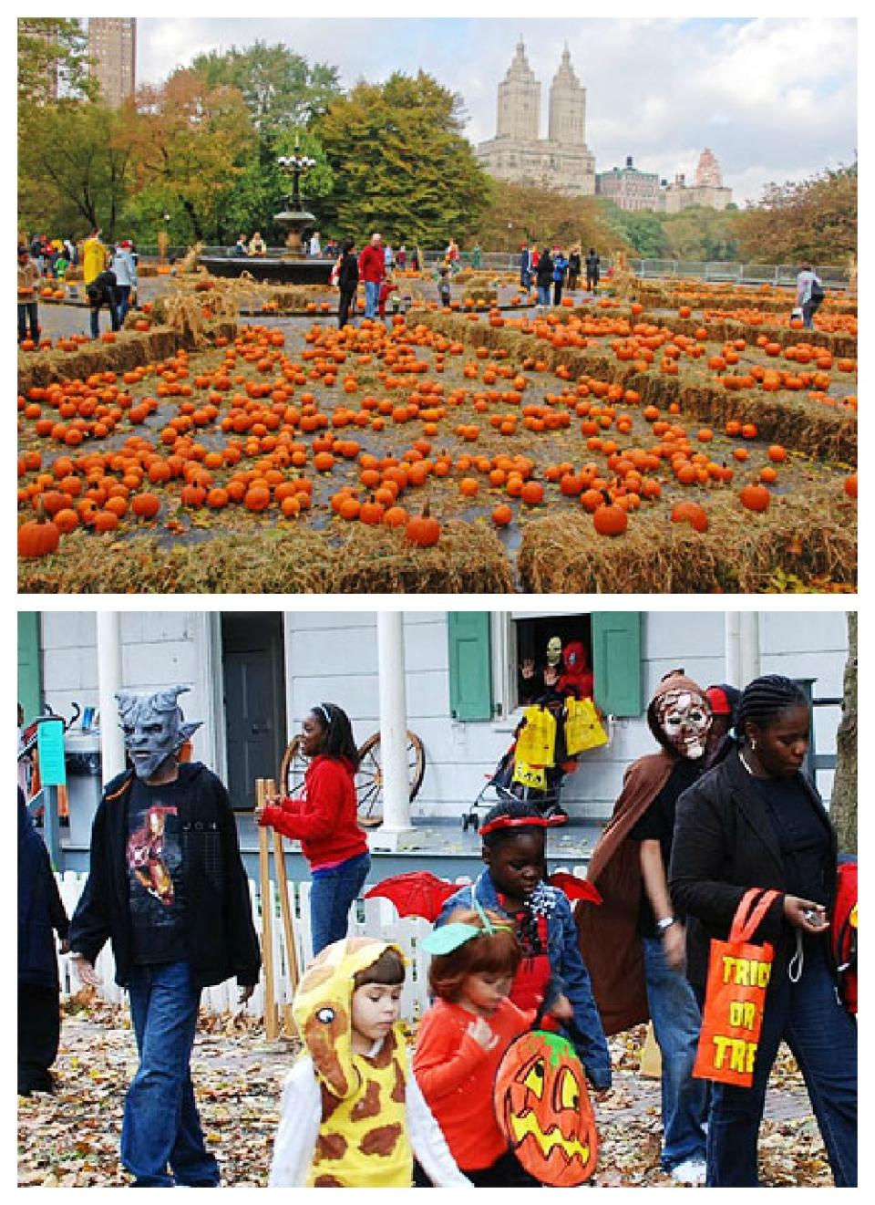 Central Park Pumpkin Festival - NYC, Oct. 27