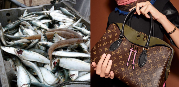 Una abuela usa su bolso Louis Vuitton como bolsa de la compra para el  pescado