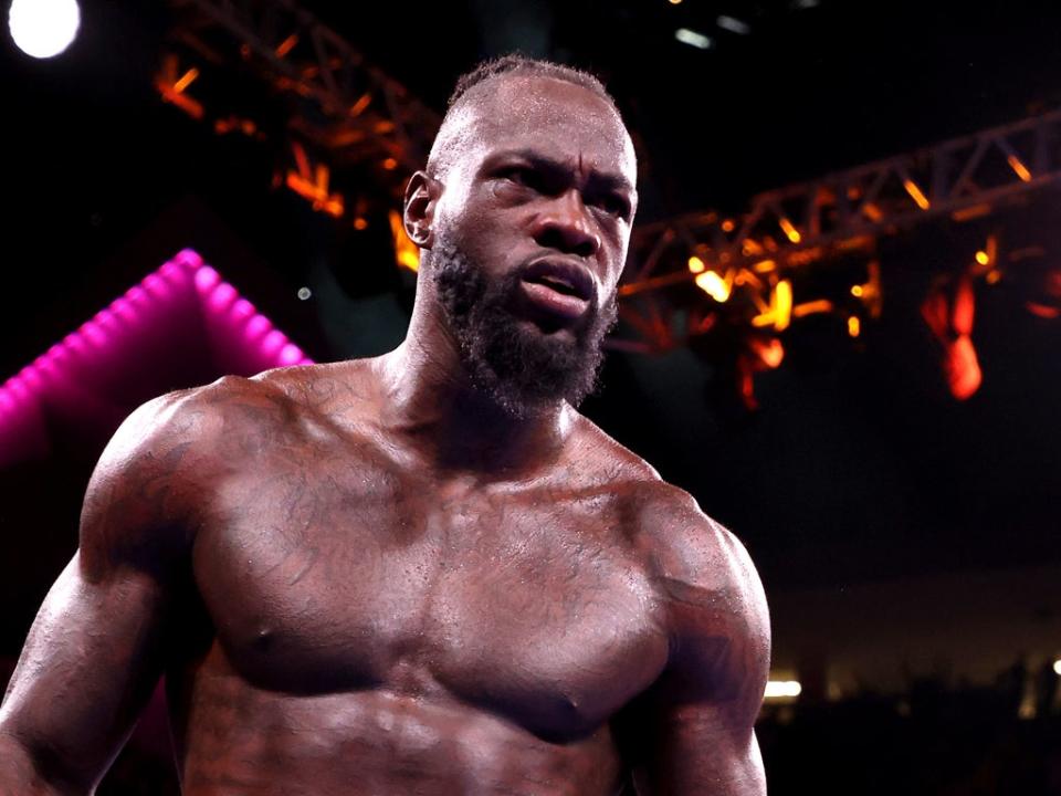 Wilder last fought Tyson Fury  (Getty Images)