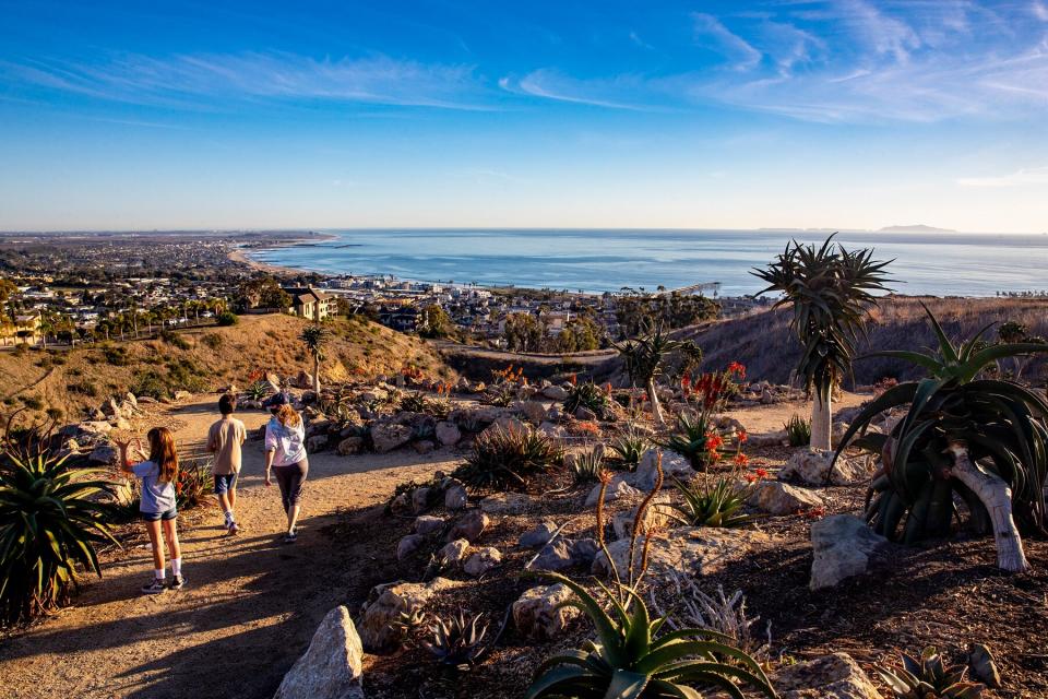 Hikers on a path in the Karoo Gardens section at the Ventura Botanical Garden on Thursday, Jan. 21, 2021 in Ventura, CA.