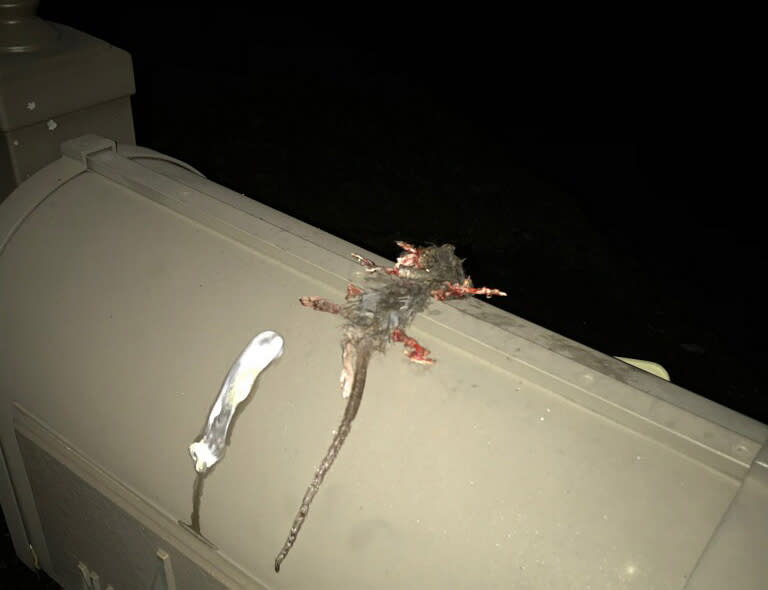 IMAGE: A rat used as a threat (via NBC News)