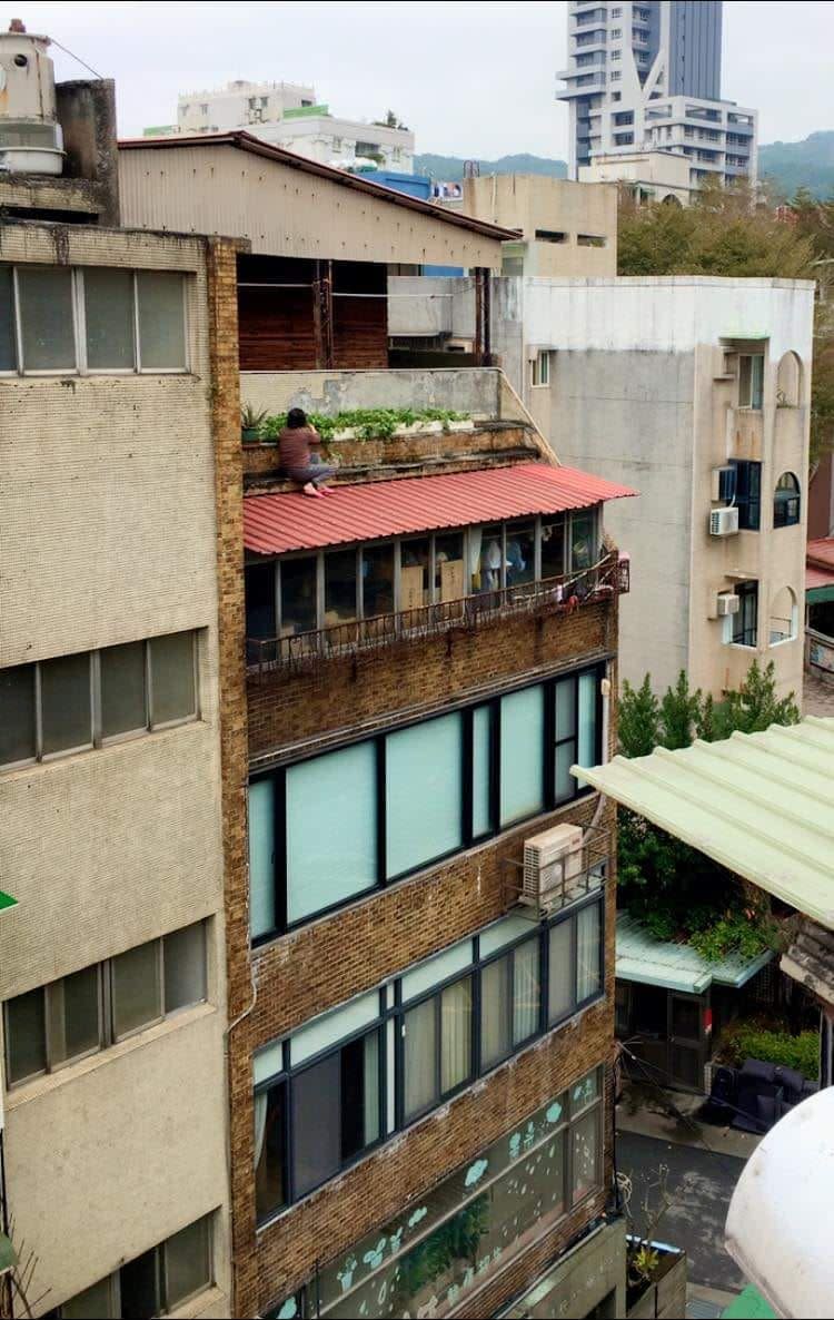 一名阿嬤跑到遮雨棚上種菜。（圖／翻攝自《路上觀察學院》）