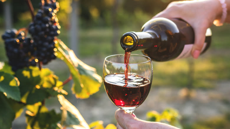 pouring red wine in glass