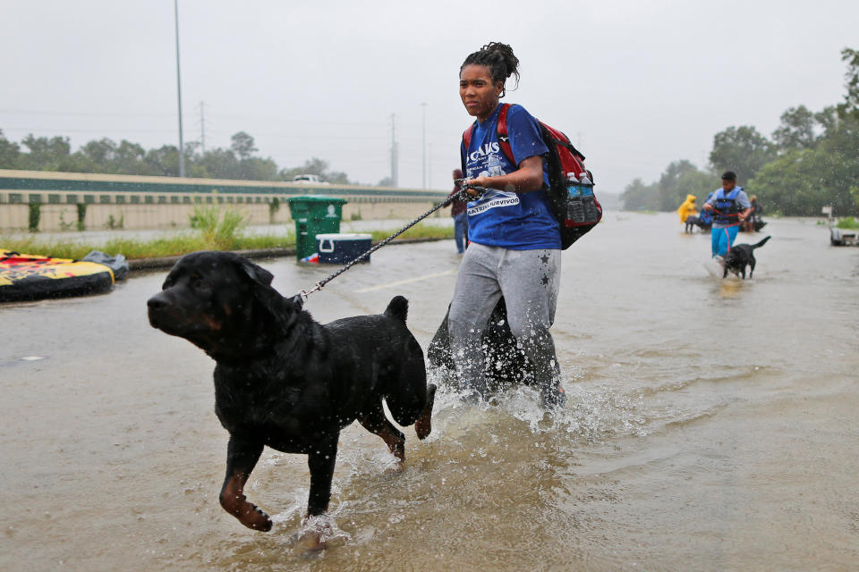 Destyn Scales and her dog Dexter wade through flood waters from Tropical Storm Harvey in Beaumont Place, Texas, U.S., August 28, 2017. REUTERS/Jonathan Bachman