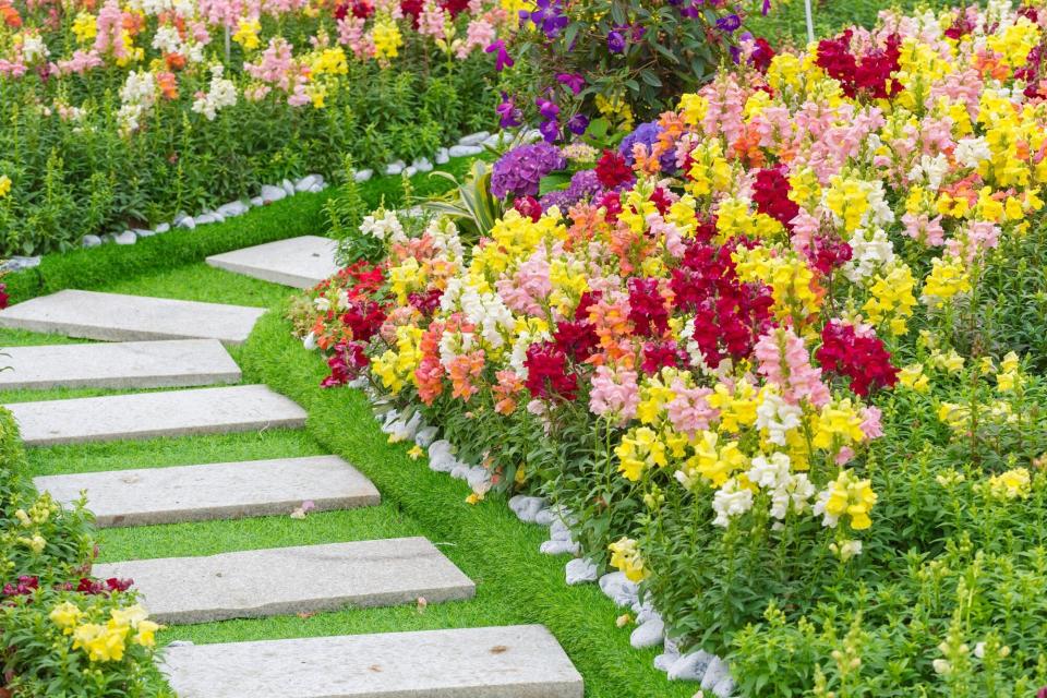 Stone path in vibrant flower garden