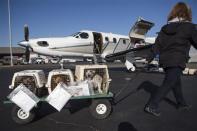 Dogs from the Front Street Animal Shelter in Sacramento, California, are loaded for a flight of 50 dogs to a no-kill shelter in Idaho, December 9, 2013. REUTERS/Max Whittaker