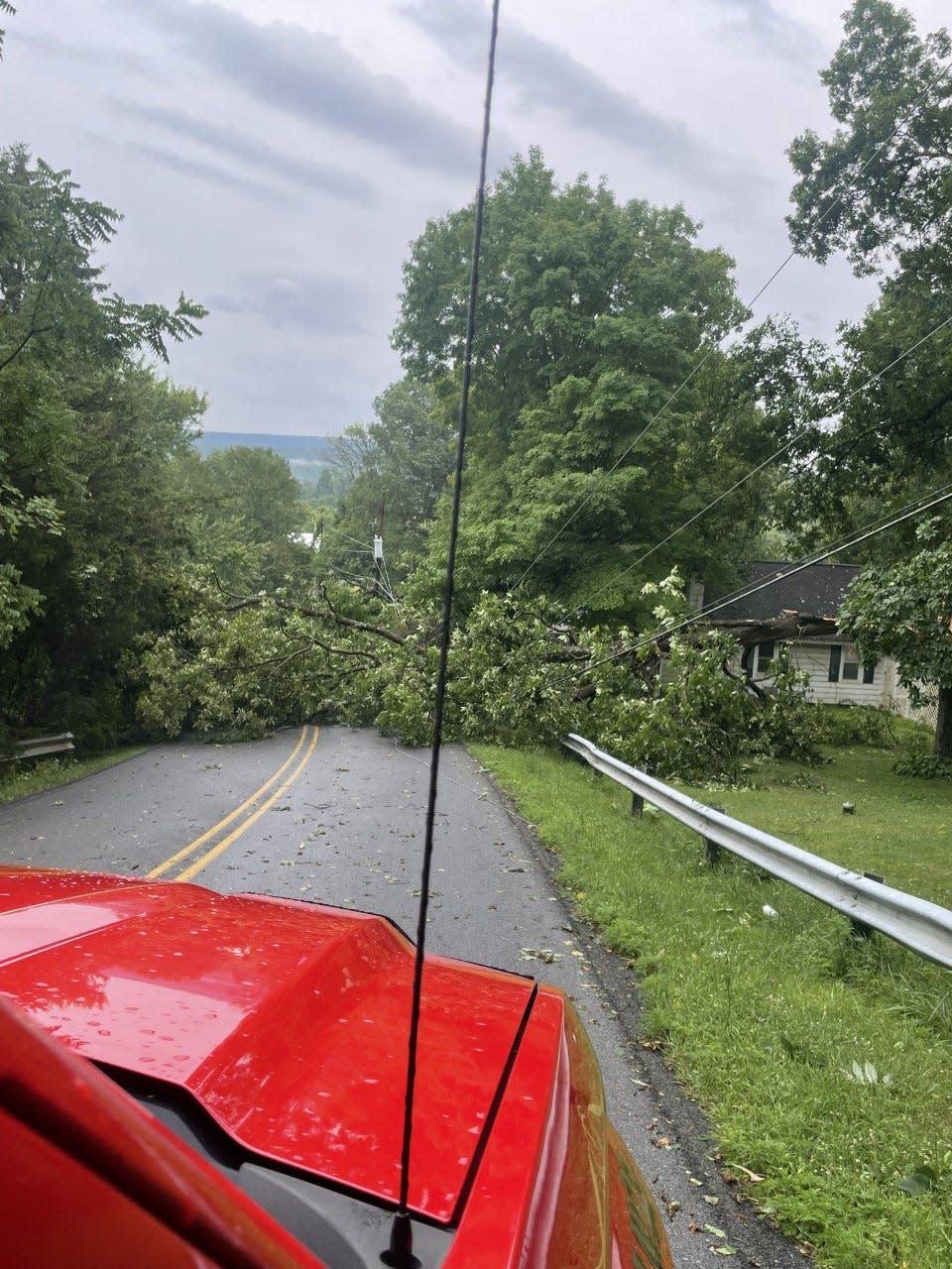 Reader Sue Hunter submitted this photo of a downed tree across Neyhart Road in Snydersville after a storm hit the area on July 12, 2022.