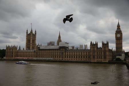 Birds fly past the Houses of Parliament, in central, London, Britain, June 24, 2017. REUTERS/Marko Djurica